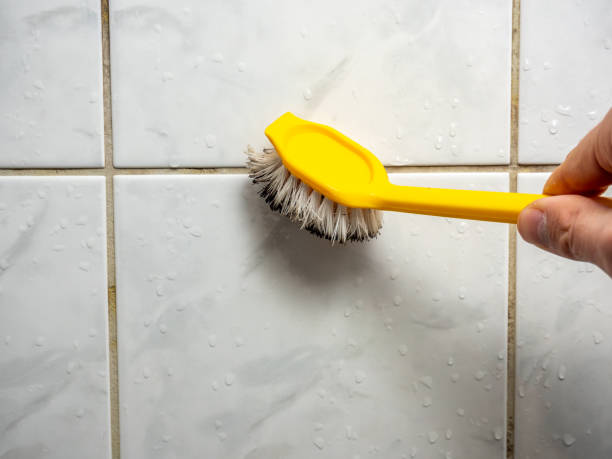 Reliable Murphys, CA Mold Remediation Solutions